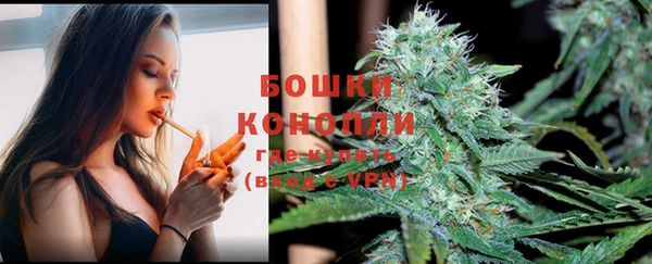ГАЛЛЮЦИНОГЕННЫЕ ГРИБЫ Нея