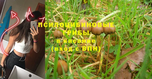 хмурый Новокубанск