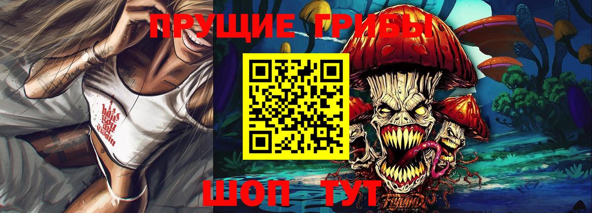 Псилоцибиновые грибы Psilocybe Кингисепп