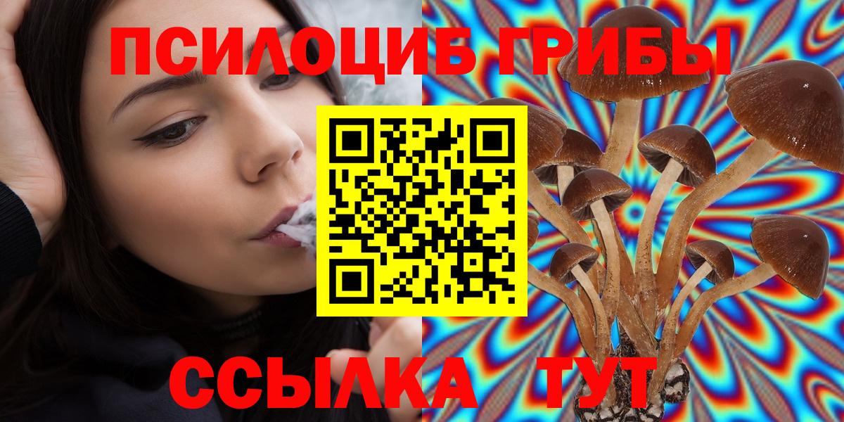 Кингисепп  Галлюциногенные грибы MAGIC MUSHROOMS  Вход с VPN  Псилоцибиновые грибы Psilocybine cubensis 