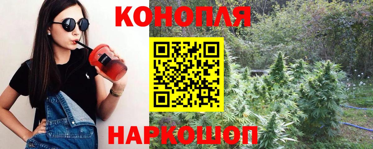 Бошки марихуана White Widow  Вход с VPN  Кингисепп  Бошки марихуана конопля  МАРИХУАНА OG Kush 